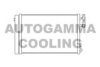 AUTOGAMMA 104895 Condenser, air conditioning